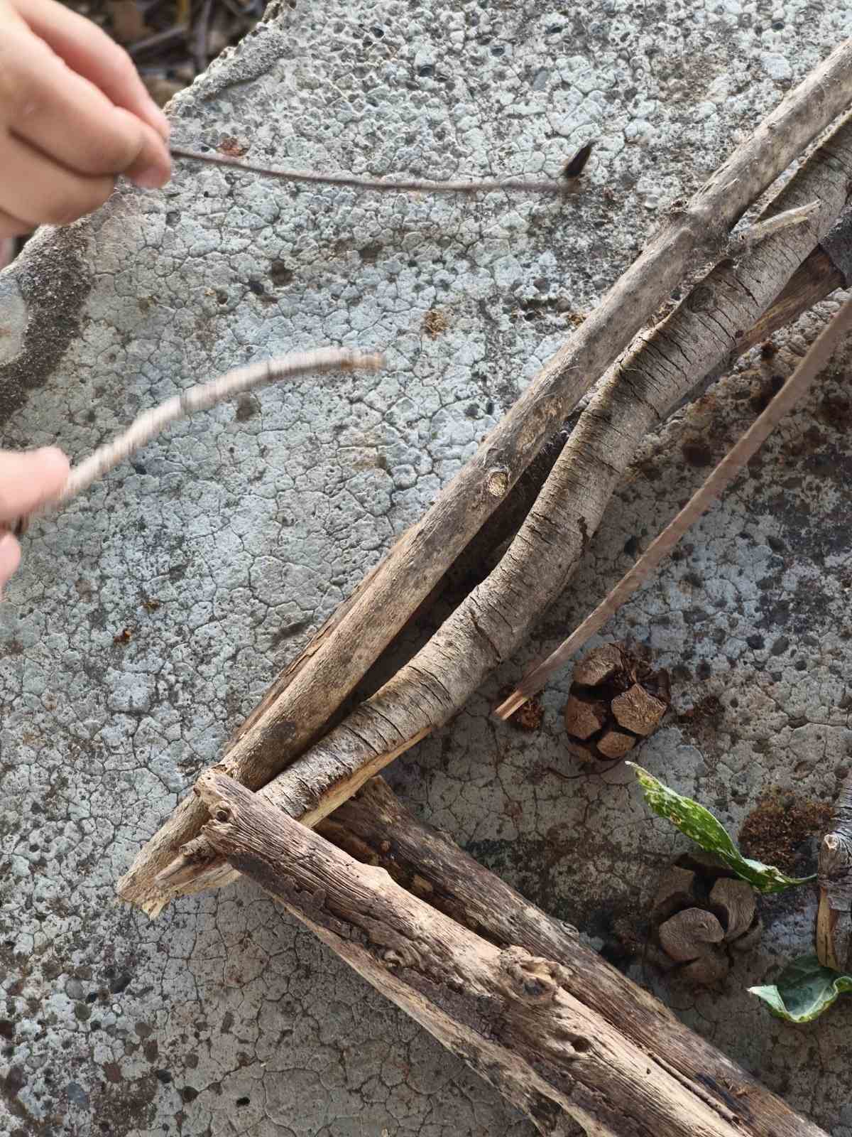 IMG-12768566e33f5118fe638506d2f08850-V