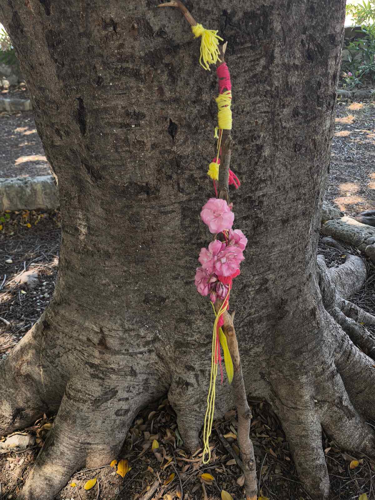 IMG-408716d8272487f08a03c2ab349cf55a-V