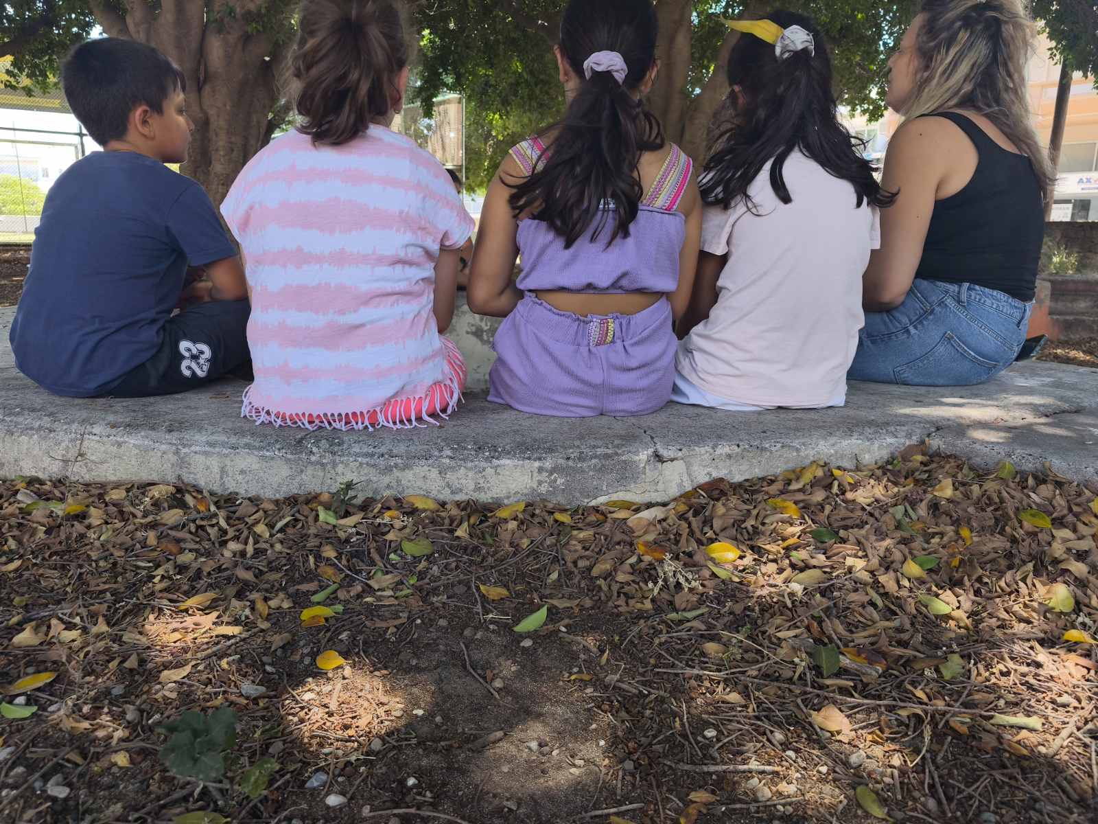 IMG-659a92a060ead71e41353551bc0bd7c7-V